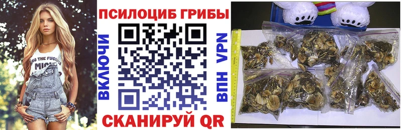 купить наркотик Северская Галлюциногенные грибы прущие грибы