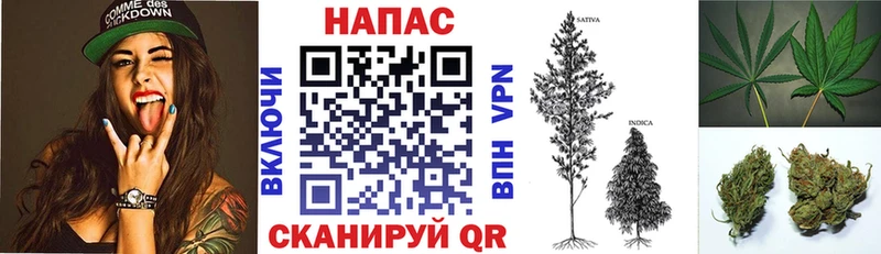 Каннабис Amnesia  продажа наркотиков  Северская 